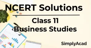 Class 11 Business Studies 